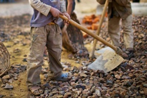 Trabalho infantil: meta de eliminar problema até 2025 está ameaçada, avalia ONU